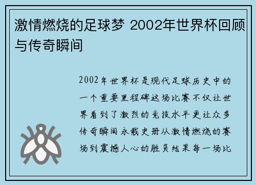 激情燃烧的足球梦 2002年世界杯回顾与传奇瞬间