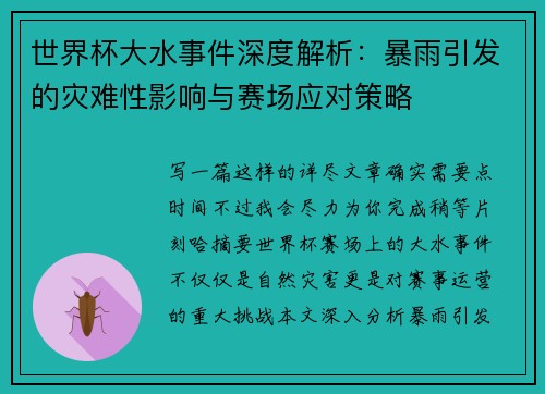 世界杯大水事件深度解析：暴雨引发的灾难性影响与赛场应对策略
